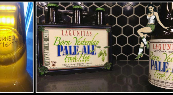 Lagunitas Born Yesterday Fresh Hop Ale – Unfiltered & Uber Fresh!