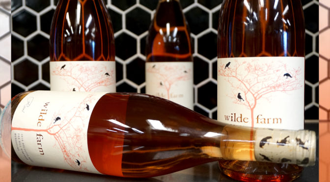 60 Days of Rosé #09 | Wilde Farm | Native & Natural Dolcetto Rosé | Fox Hill Vineyard Mendocino